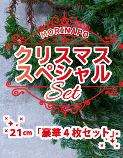 豪華ピザ4枚セット・定番21cm